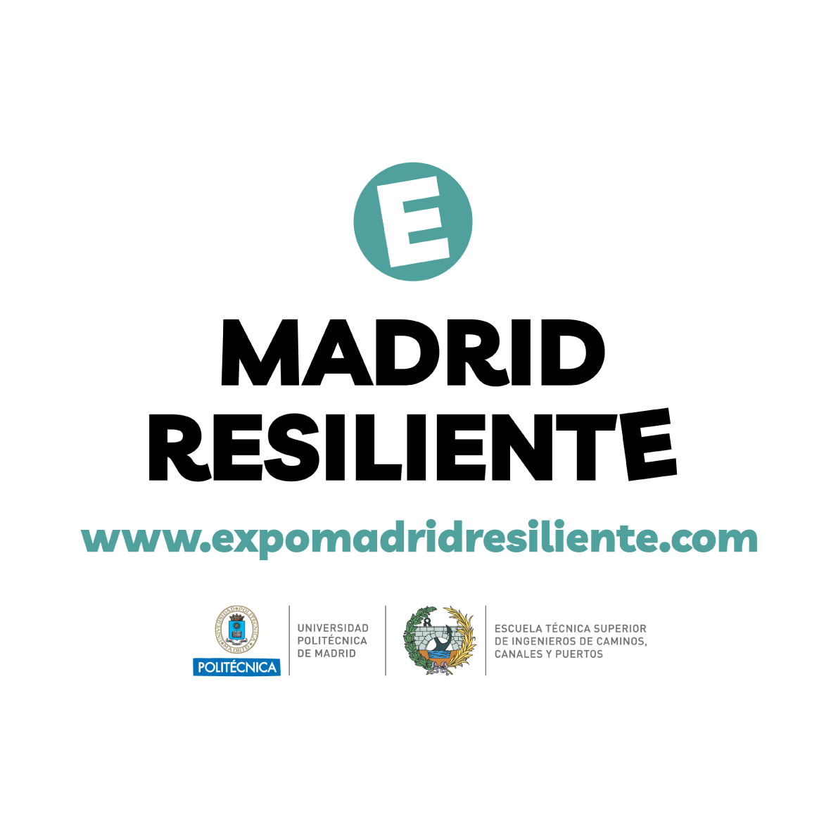 portfolio diseño web